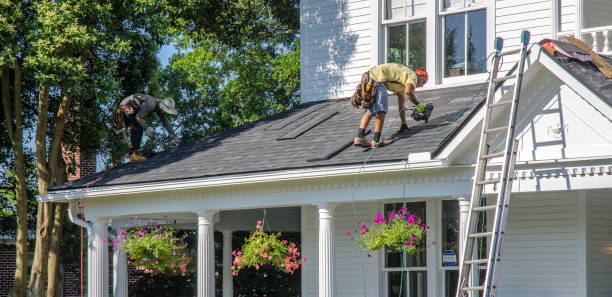 Best Roof Gutter Cleaning  in Lechee, AZ